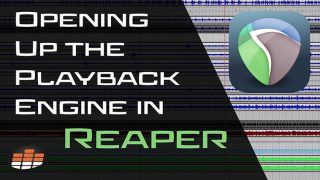 Opening Up the Playback Engine in Reaper-1