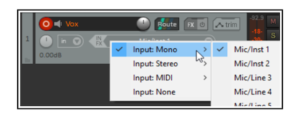 how-to-record-arm-a-track-in-reaper_2